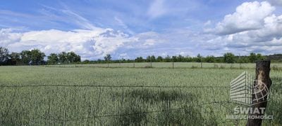 Działka na sprzedaż, Stepnica Żarnowo, 3169 m² — MNI22235, zdjęcie 5