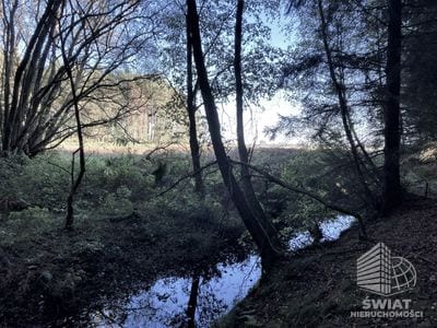 Działka na sprzedaż, Świerzno Krzepocin, 19743 m² — LGR21524, zdjęcie 4