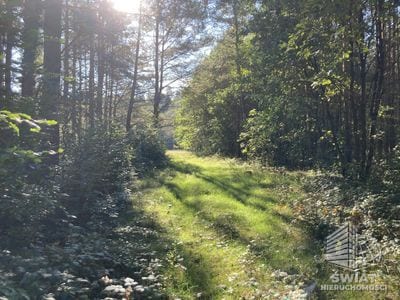 Działka na sprzedaż, Świerzno Krzepocin, 19743 m² — LGR21524, zdjęcie 5