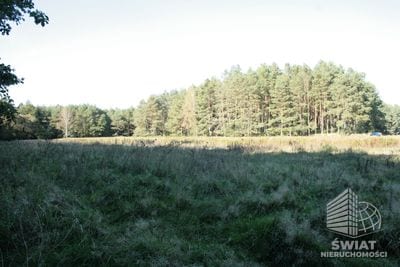 Działka na sprzedaż, Świerzno Krzepocin, 19743 m² — LGR21524, zdjęcie 6