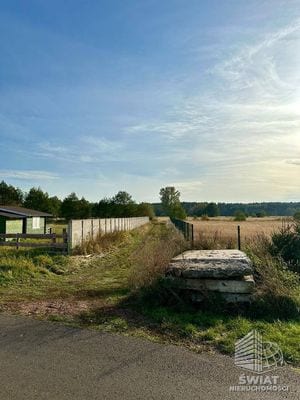 Działka na sprzedaż, Świerzno Redliny, 3003 m² — PAT21170, zdjęcie 4