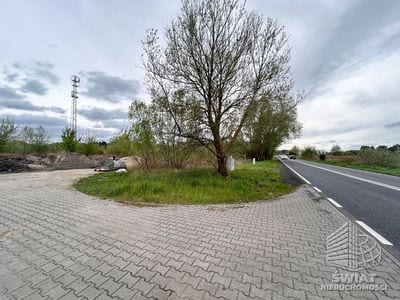 Działka na sprzedaż, Szczecin Dąbie, 7246 m² — DIV20634, zdjęcie 3