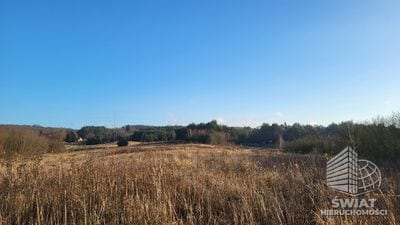 Działka na sprzedaż, Szczecin Żydowce, 21150 m² — INW31105, zdjęcie 3
