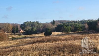 Działka na sprzedaż, Szczecin Żydowce, 21150 m² — INW31105, zdjęcie 5
