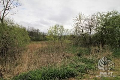 Działka na sprzedaż, Węgorzyno Kąkolewice, 3500 m² — HES27615, zdjęcie 5