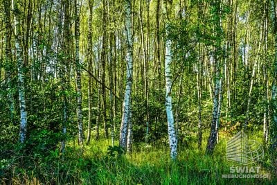 Działka na sprzedaż, Węgorzyno Małe Węgorzynko, 16476 m² — MDR20438, zdjęcie 4