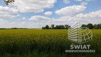 Działka na sprzedaż, Węgorzyno Mielno, 11290 m² — AVN22391, zdjęcie 2