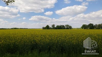 Działka na sprzedaż, Węgorzyno Mielno, 11290 m² — AVN22391, zdjęcie 2