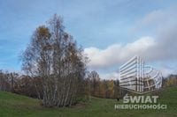 Działka na sprzedaż, Węgorzyno Sarnikierz, 84400 m² — SWN28630, zdjęcie 1