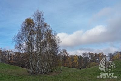 Działka na sprzedaż, Węgorzyno Sarnikierz, 84400 m² — SWN28630, zdjęcie 1