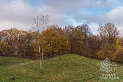Działka na sprzedaż, Węgorzyno Sarnikierz, 84400 m² — SWN28630, zdjęcie 2