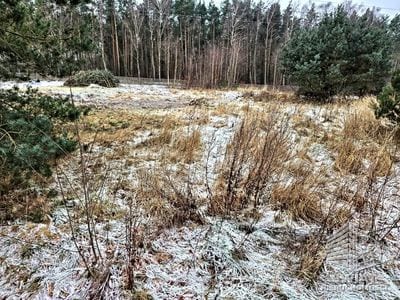 Działka na sprzedaż, Wolin Dargobądz, 3000 m² — MDR20732, zdjęcie 2
