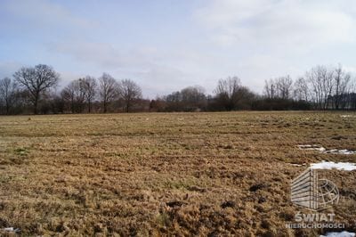 Działka na sprzedaż, Wolin Jarzębowo, 3398 m² — CIE21212, zdjęcie 1