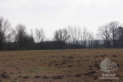 Działka na sprzedaż, Wolin Jarzębowo, 3000 m² — CIE21213, zdjęcie 2