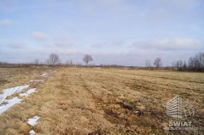 Działka na sprzedaż, Wolin Jarzębowo, 3000 m² — CIE21214, zdjęcie 1