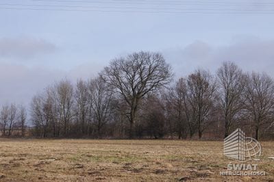 Działka na sprzedaż, Wolin Jarzębowo, 3000 m² — CIE21214, zdjęcie 3