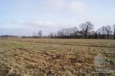 Działka na sprzedaż, Wolin Jarzębowo, 3167 m² — CIE21216, zdjęcie 3