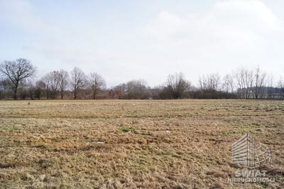 Działka na sprzedaż, Wolin Jarzębowo, 3000 m² — CIE21217, zdjęcie 1
