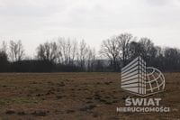 Działka na sprzedaż, Wolin Jarzębowo, 3000 m² — CIE21217, zdjęcie 2