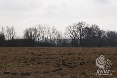 Działka na sprzedaż, Wolin Jarzębowo, 3000 m² — CIE21217, zdjęcie 2