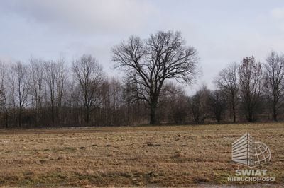 Działka na sprzedaż, Wolin Jarzębowo, 3000 m² — CIE21217, zdjęcie 3