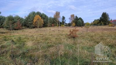 Działka na sprzedaż, Wolin Warnowo, 4700 m² — PAT21086, zdjęcie 2