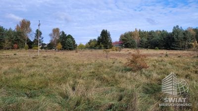 Działka na sprzedaż, Wolin Warnowo, 4700 m² — PAT21086, zdjęcie 3