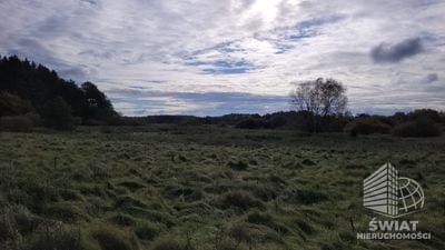 Działka na sprzedaż, Wolin Warnowo, 4700 m² — PAT21086, zdjęcie 6
