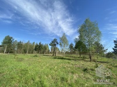 Działka na sprzedaż, Złocieniec Lubieszewo, 726 m² — BON39694, zdjęcie 6