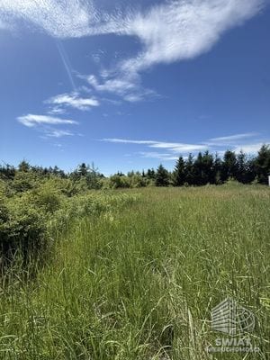Działka na wynajem, Stare Czarnowo Binowo, 2238 m² — ROY04606, zdjęcie 2