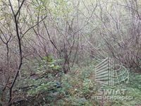 Lokal na sprzedaż, Drawno, 956 m² — LGR21756, zdjęcie 5