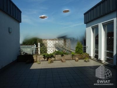 Lokal na wynajem, Szczecin Centrum, 321 m² — ASP21697, zdjęcie 1