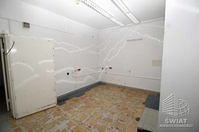 Lokal na wynajem, Szczecin Centrum, 300 m² — PAT21193, zdjęcie 5