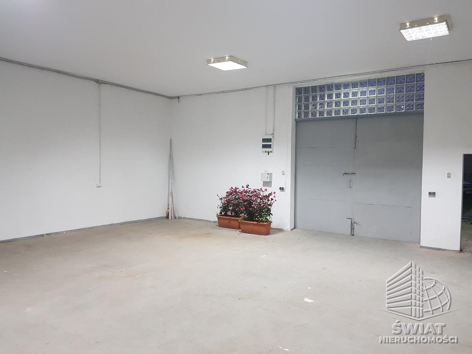 Lokal na wynajem, Szczecin Dąbie, 115 m² — ASP21700, zdjęcie 1