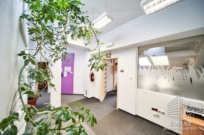 Lokal na wynajem, Szczecin Łasztownia, 248 m² — SWN32372, zdjęcie 3