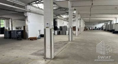 Lokal na wynajem, Szczecin Pomorzany, 230 m² — CIT25519, zdjęcie 1