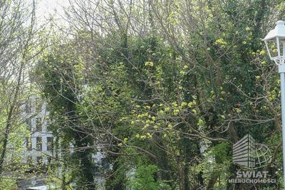 Mieszkanie na sprzedaż, Dziwnów, 2 pokoje, 37 m² — FKT24868, zdjęcie 3