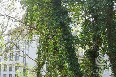 Mieszkanie na sprzedaż, Dziwnów, 2 pokoje, 37 m² — FKT24868, zdjęcie 4