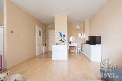 Mieszkanie na wynajem, Szczecin Niebuszewo, 1 pokój, 33 m² — INS22135, zdjęcie 3
